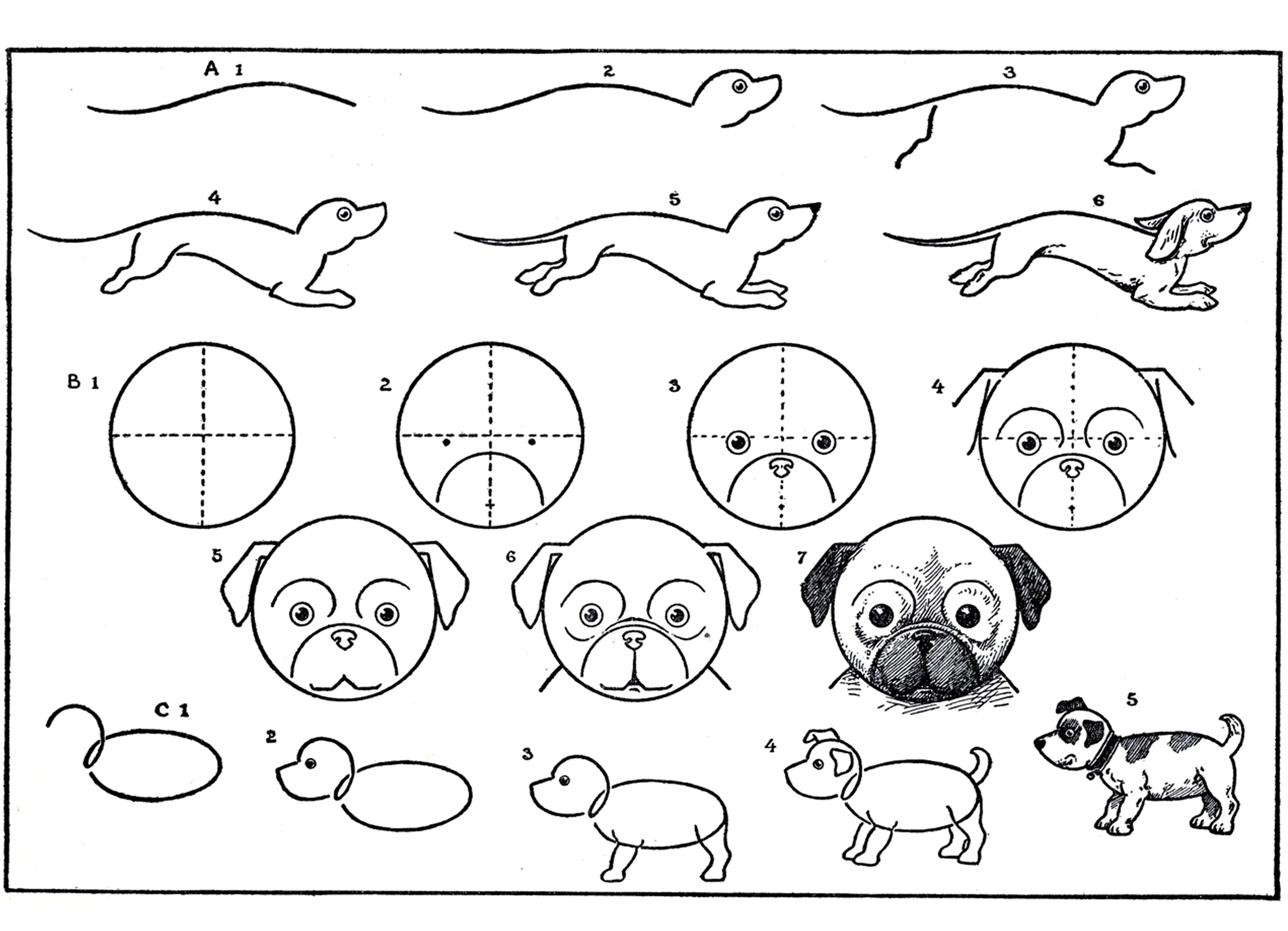 rysunki zwierząt dla dzieci 4