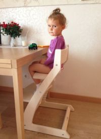 Dječja stolica za odrasle -1