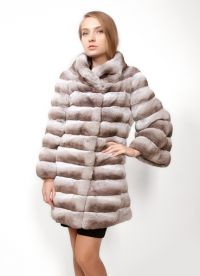 chinchilla coat 12