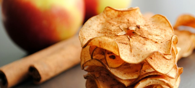 jabolčni žetoni v mikrovalovni pečici