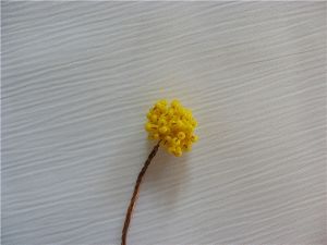 Bead Chrysanthemum - majstorska razred4