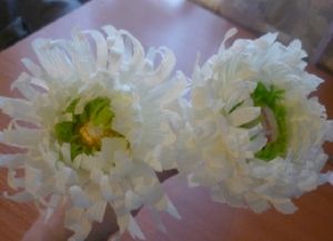 Vlnité papírové chryzantémy15