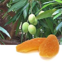 kandyzowane owoce mango