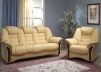 klasični sofas2