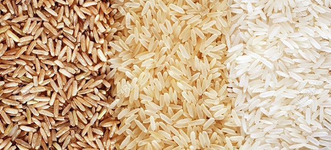 oczyszczanie organizmu ryżem rano