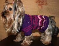 Yorkshire Terrier - dziane Clothing2