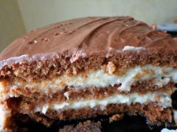 čokoládový kokosový dort