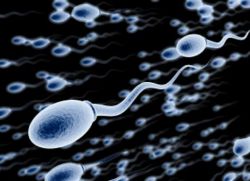 Normalna boja sperme