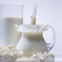 složení mléčných proteinů bílkoviny tuky sacharidy