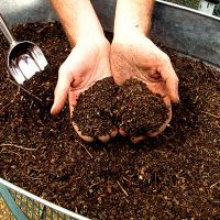 kako narediti kompostni kup
