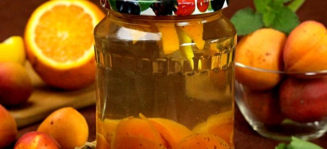 narančasta marelica naranče za zimsku recepturu