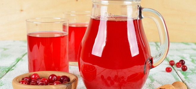 kompot sušené brusinky recept