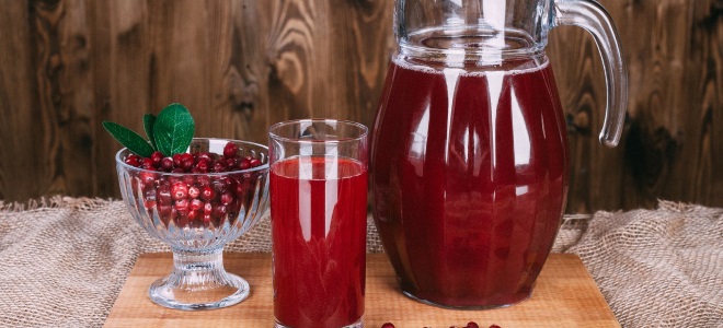 kompot lingonberry in brusničnega recepta