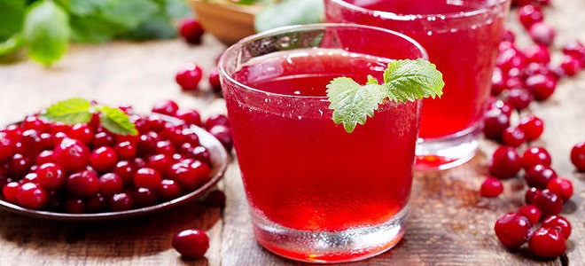 Kompot zamrznjene lingonberry - recept