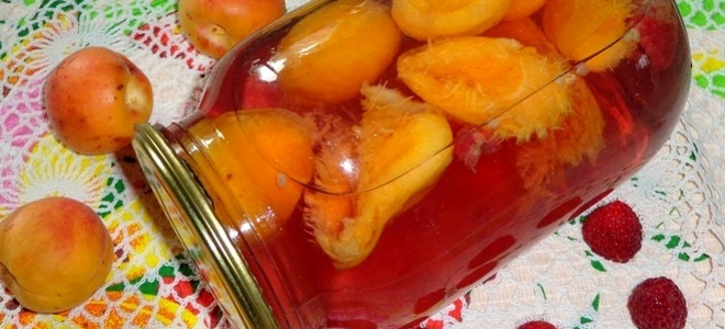 kompot z meruňky a maliny na zimu