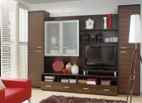 Kabinet pohištvo za dnevno sobo v modernem slogu8