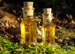 Vlastnosti koriandrového esenciálního oleje