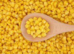 kukurydza podczas ciąży
