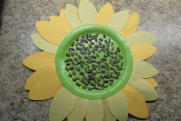 řemesla ze slunečnicových semen5