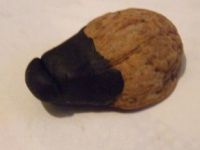 Řemesla z vlašského ořechu shell3