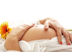 какво е полезна червена боровинка за бременни жени