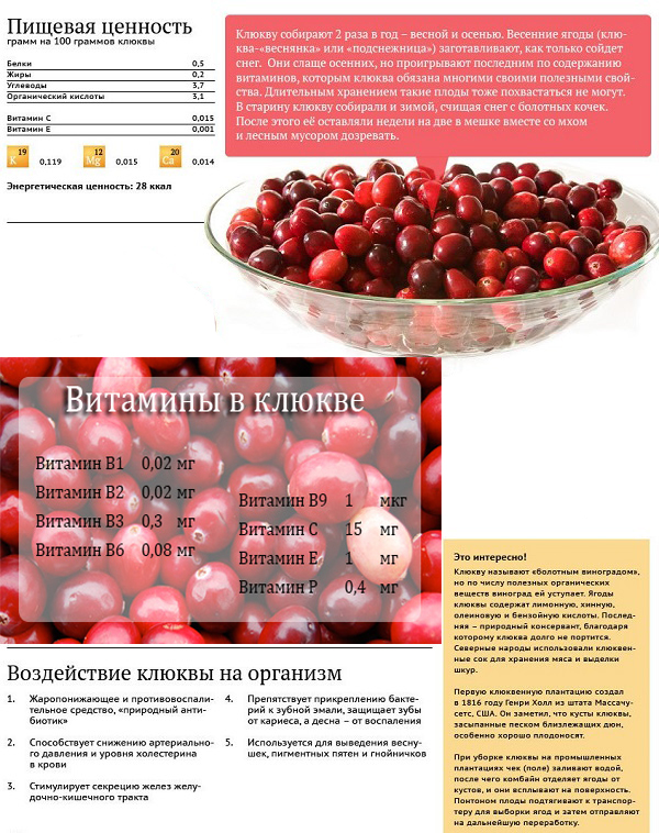 cranberries přínosy pro zdraví