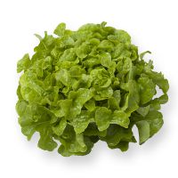 salata za salatu