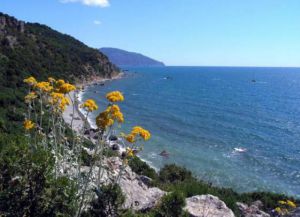 Krim Jalta znamenitosti 13