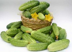 prehrana kumaric za hujšanje 10