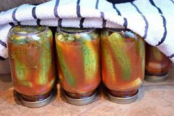 Przygotowania do zimowych ostrych ogórków w pomidorach