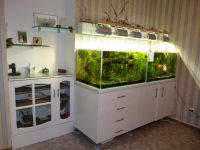 Vanity for aquarium8