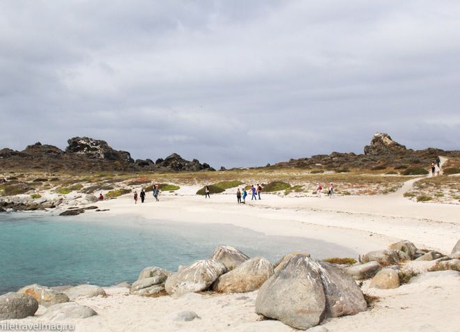 Побережье острова Дамас с чистейшим белым песком