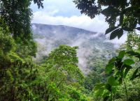Влажные экваториальные леса в Дарьенском пробеле