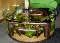 Декор за аквариум14