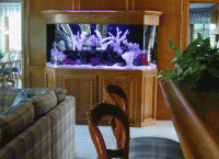 Декор за аквариум18