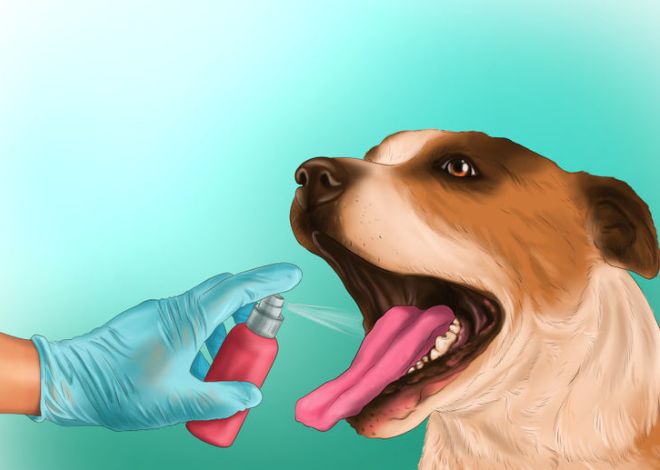 спрей для удаления зубного камня у собак