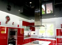 Дизайнът на тавана в кухнята9