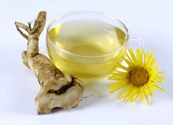 Herb Nine Healing Properties in kontraindikacije