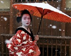 japonska gejša prehrana
