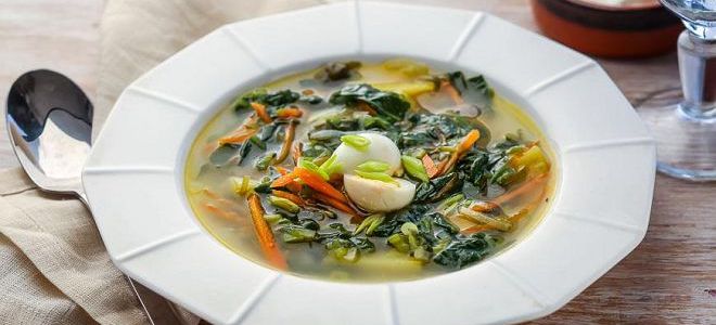dietu na šťavnaté polévce