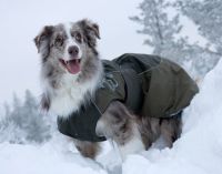 zimní přikrývky pro psy1