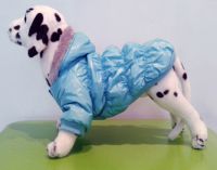 zimske pokrivače za pse2