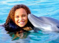 В Долфин-Коув можно обнять дельфина