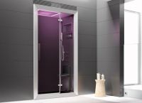 Dveře pro sprchové výklenky6