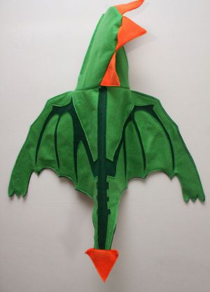 Kostým dračího kostýmu 27
