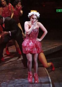 Lady Gaga masové šaty 1