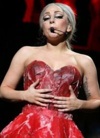 Месо рокля на лейди Гага 5