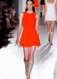 Dress A-line 2013 1