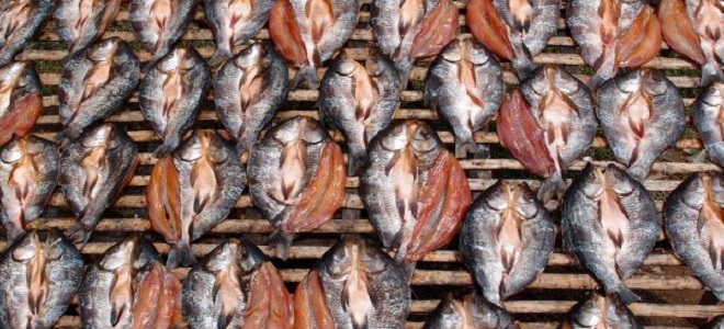 Jak vyrobit sušené ryby