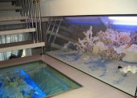сух аквариум 8